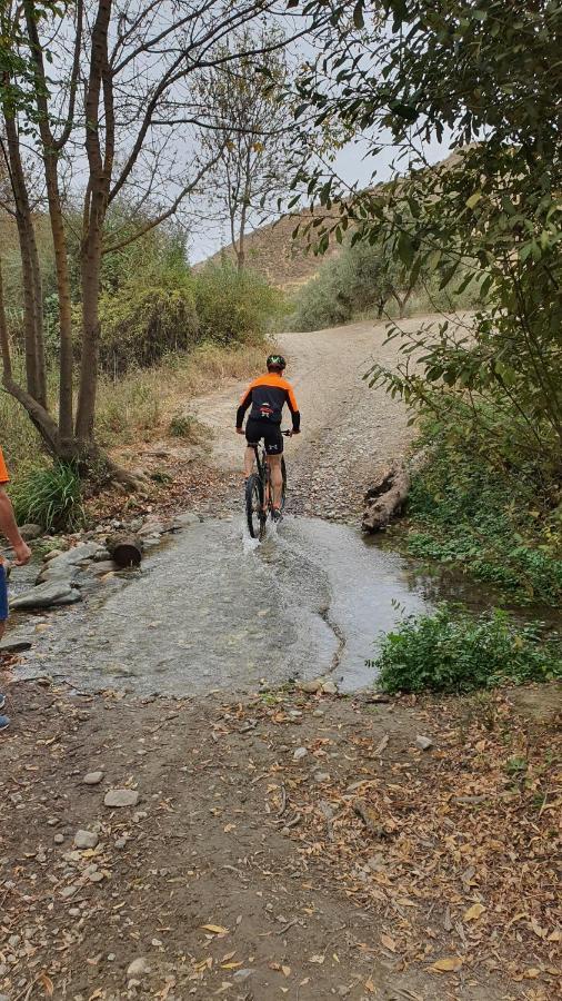 סנס דה לה וגה La Colina Ladyblue Apto Acogedor Cerca De Sierra Nevada Y Alhambra מראה חיצוני תמונה