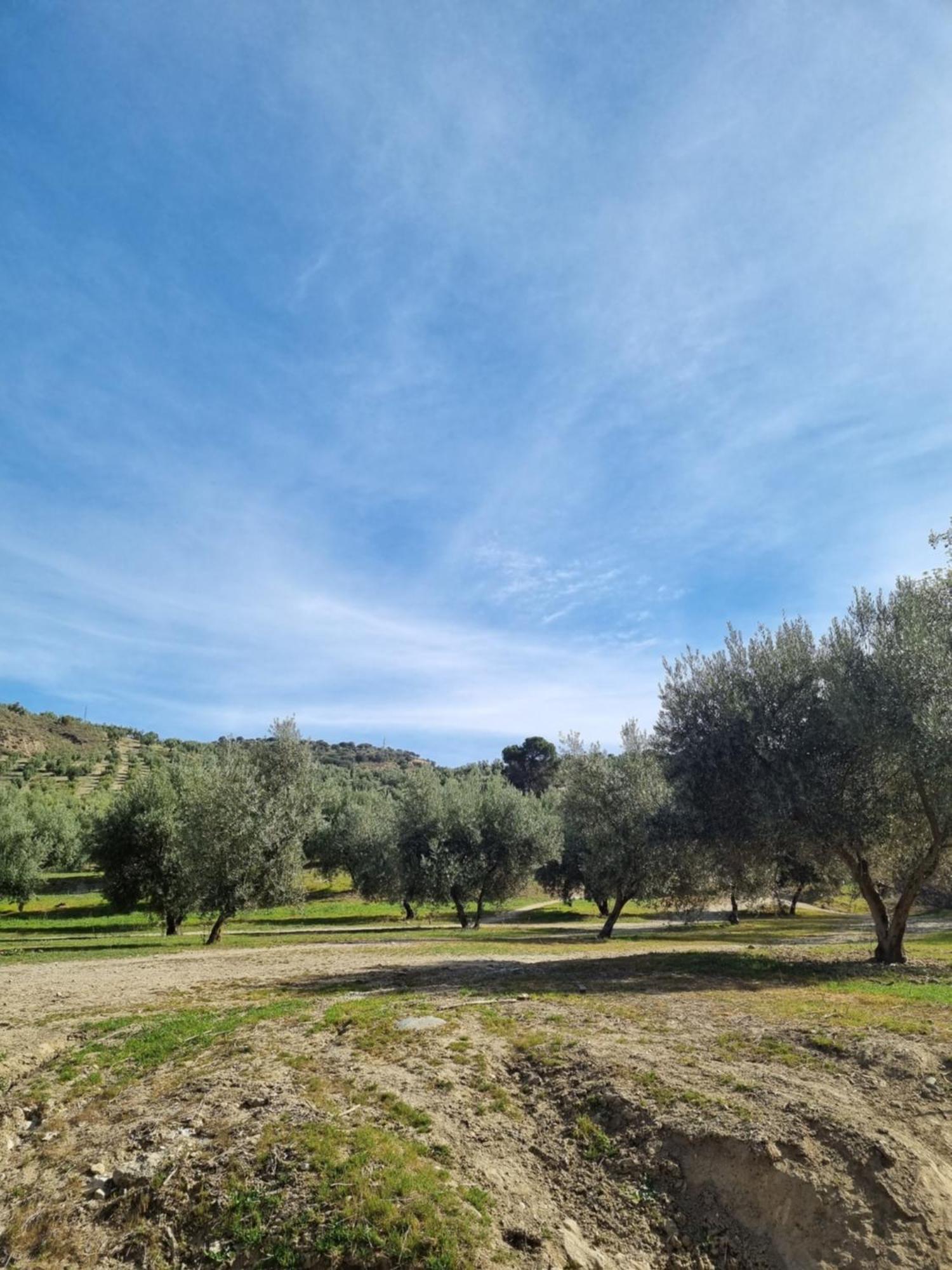 סנס דה לה וגה La Colina Ladyblue Apto Acogedor Cerca De Sierra Nevada Y Alhambra מראה חיצוני תמונה